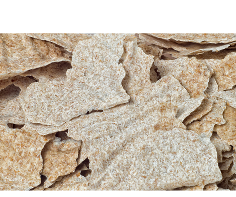 Sourdough Starter, Dehydrated - 10 grams