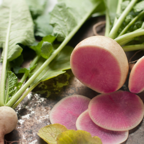 Radish, Watermelon - Organic