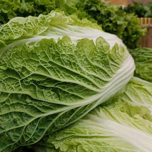 Chinese Cabbage - Organically Grown