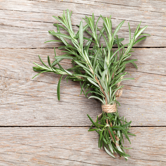 Rosemary - Organically Grown